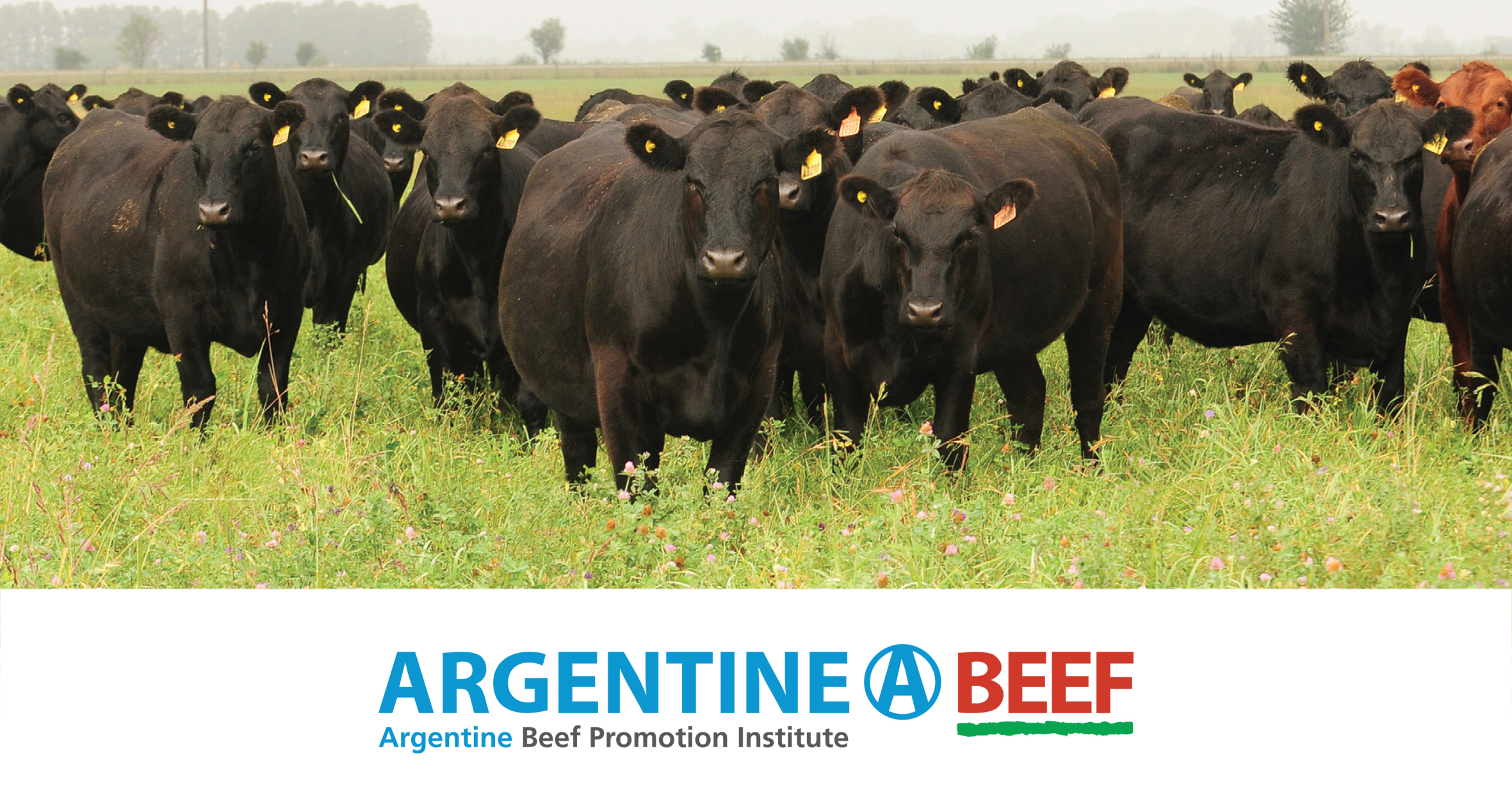 Argentine_beef